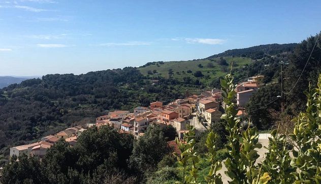 Cade in uno strapiombo mentre raccoglie la frutta: morto pensionato a Bortigiadas