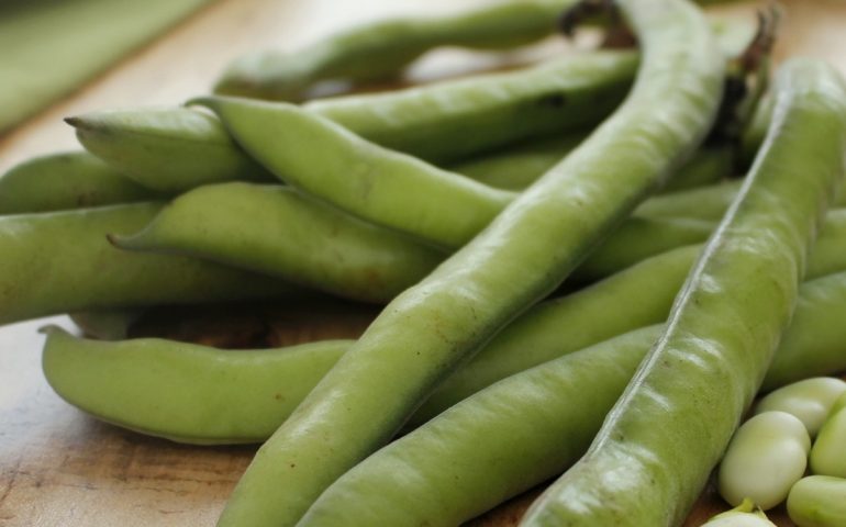 La ricetta Vistanet di oggi: “Corronciolu”, le tenerissime favette sarde cucinate col baccello