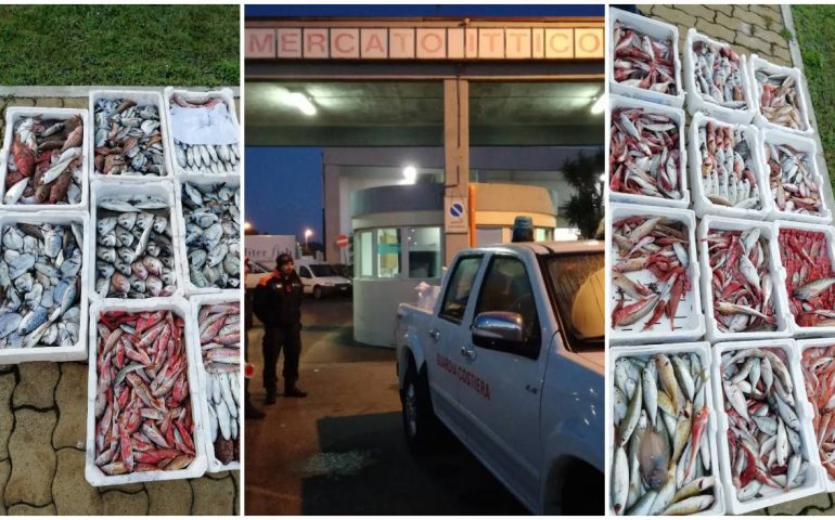 mercato ittico, guardia costiera