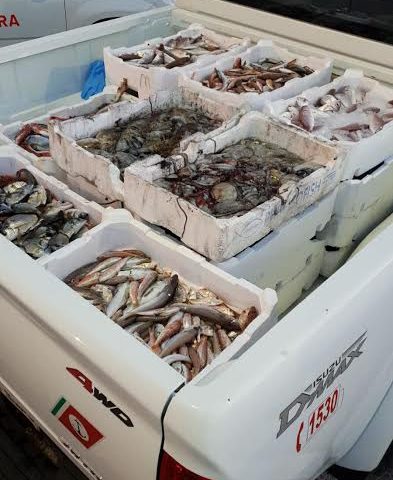 La Guardia Costiera sequestra due quintali di pesce al mercato ittico e a San Benedetto