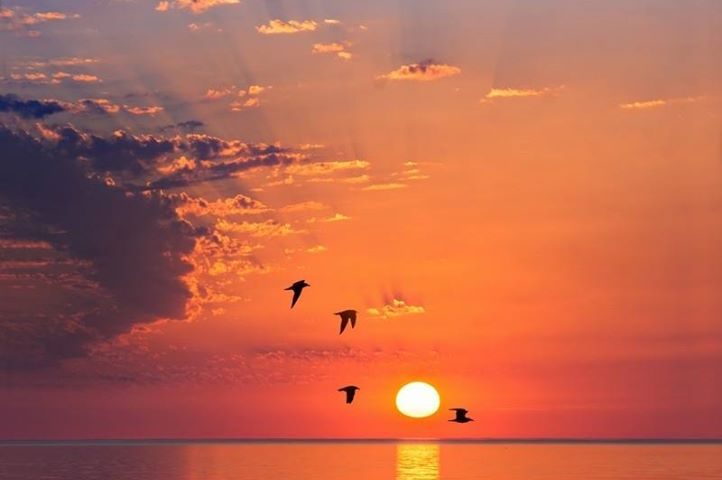 La foto. Tramonto a Piscinas nello scatto di Andrea Skull