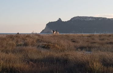 poetto, febbraio