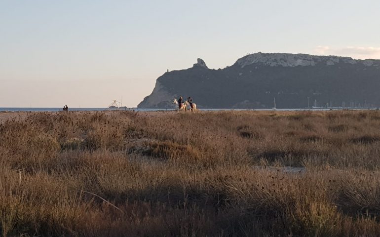 poetto, febbraio