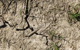 Allarme siccità nel Sud Sardegna: l’invito ai sindaci a chiedere lo stato di calamità