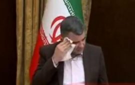 viceministro-iran