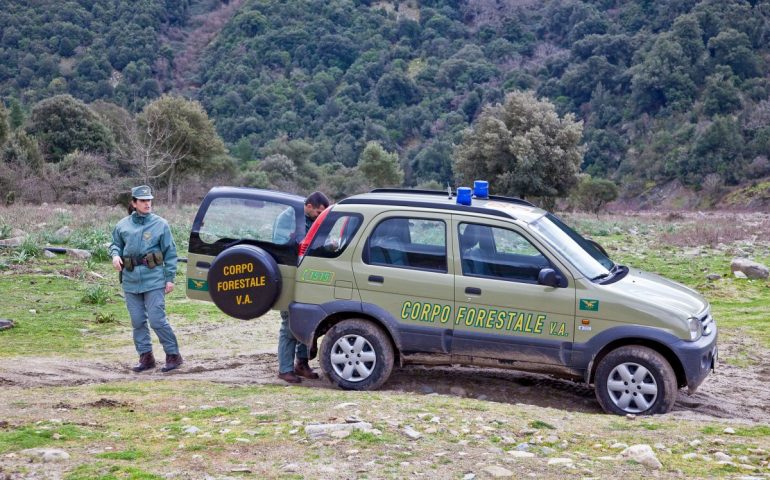 In fiamme a Bolotana l’auto di un ispettore del Corpo Forestale. Solinas: “Il grave gesto intimidatorio non fermerà l’azione degli agenti”