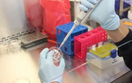 analisi-laboratorio-tampone-coronavirus-scienza-ricerca