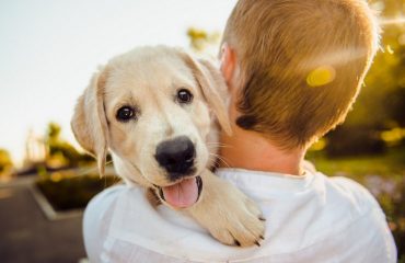 cane-bambino-famiglia