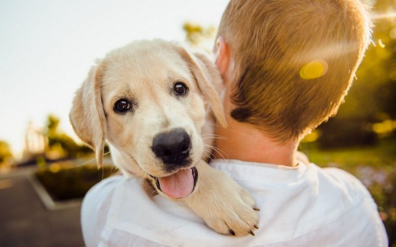 cane-bambino-famiglia