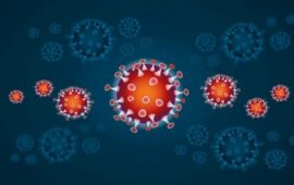 coronavirus-virus2