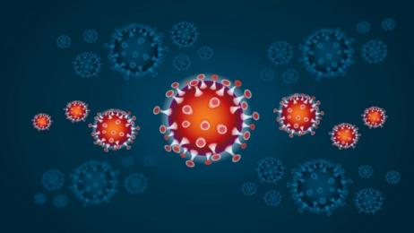 coronavirus-virus2