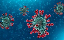 coronavirus_virus