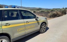 corpo-forestale