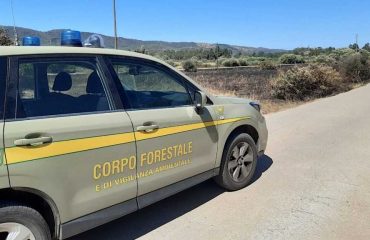 corpo-forestale