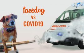 facedog-donazioni-covid