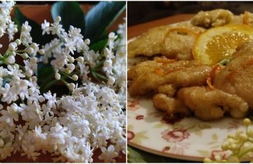 La ricetta di oggi: fiori di sambuco in pastella dolce, una profumata prelibatezza del Sarrabus