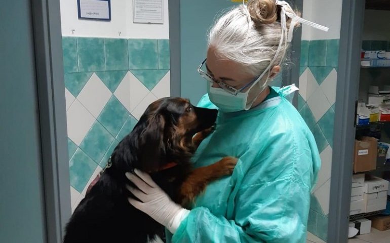 «Non trasmettono il Covid-19, non abbandonate gli animali»: l’appello della veterinaria più amata d’Italia, Monica Pais
