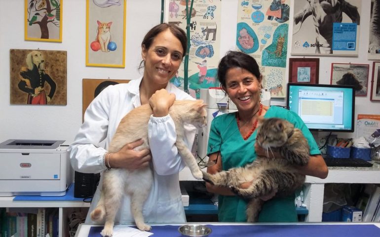 Coronavirus e visite dal veterinario: come comportarci con i nostri animali?