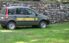 corpo-forestale