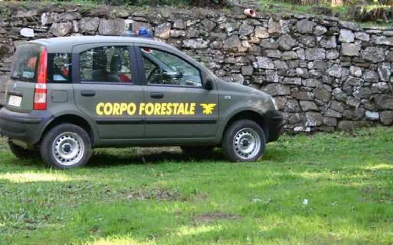 corpo-forestale
