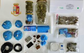 droga-arresto-perra-pirri