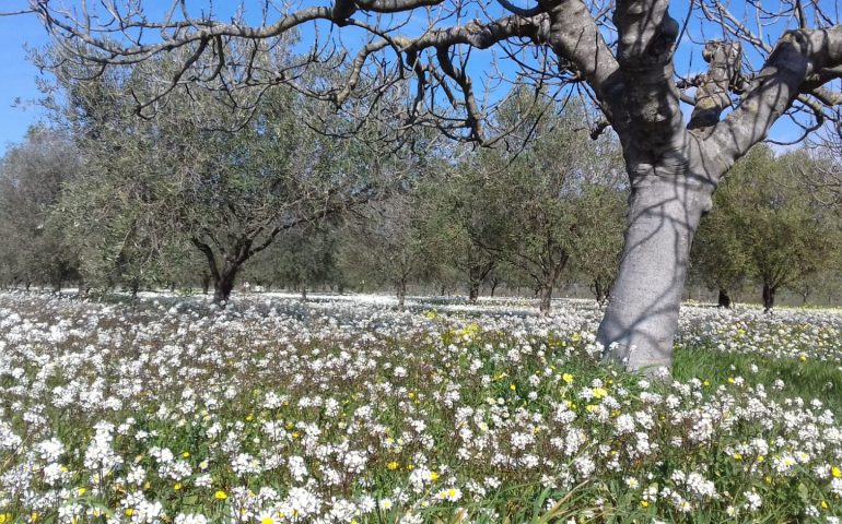 Splendido sabato di primavera, temperature ben al di sopra degli standard, vabbè spalanchiamo le finestre..