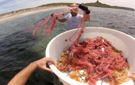 rete-pesca-illegale-cabras