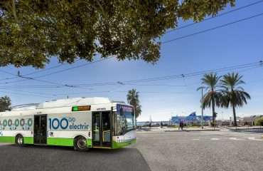 bus-ctm-linea-31-piazza-matteotti