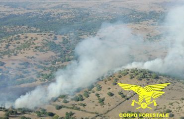 incendio-corpo-forestale
