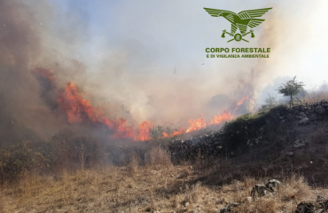 incendio-corpo-forestale