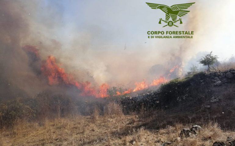 incendio-corpo-forestale