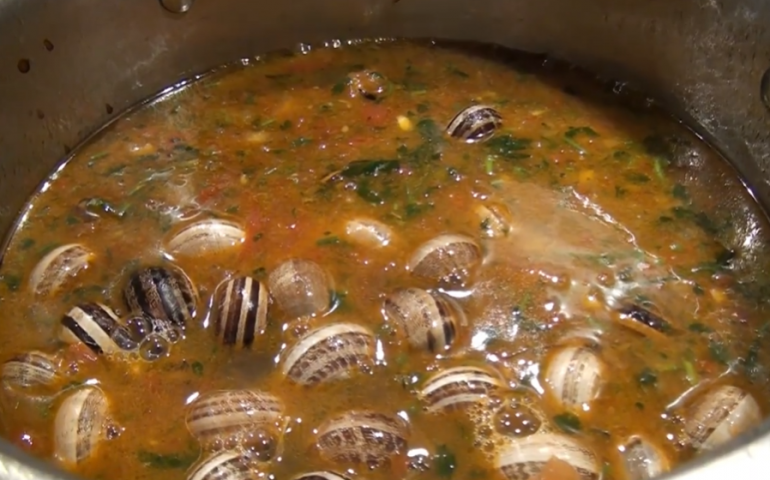 La ricetta Vistanet di oggi: “Sizzigorru cun fregula”, minestra di lumache, specialità di Gesico