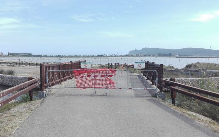 Chiusa per “nidificazione” parte del Parco di Molentargius, non bisogna disturbare gli uccelli