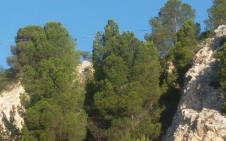 Monte Urpinu: scoperti dei tiranti con i moschettoni, i Vigili del Fuoco li rimuovono