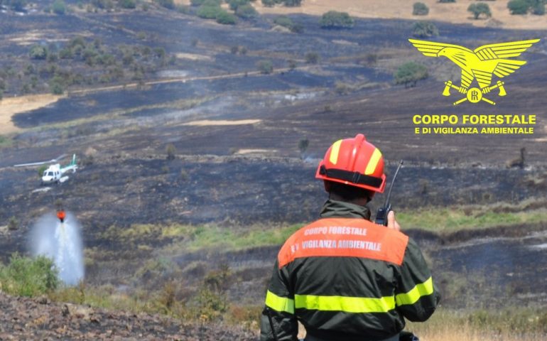 Sardegna in fiamme: dispiegamento di personale e mezzi antincendio per i numerosi incendi nell’Isola