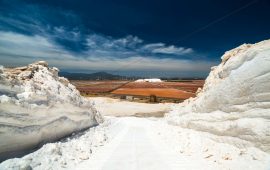 Villamassargia (SU), S'Ortu Mannu