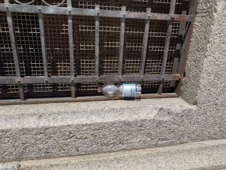 bottiglietta-cani-