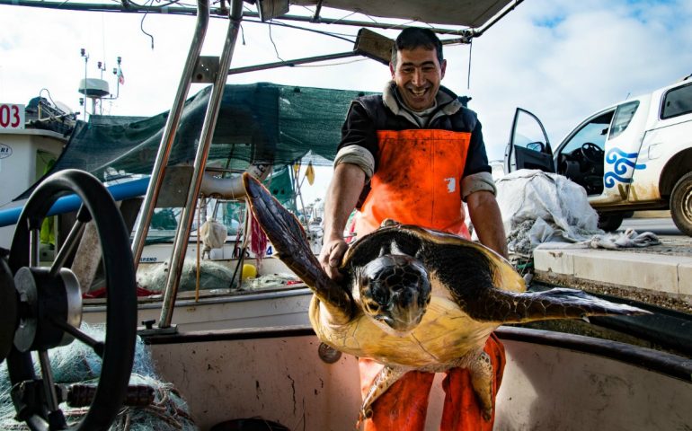 Due caretta liberate in Sardegna nello stesso momento: atto simbolico in difesa del mare