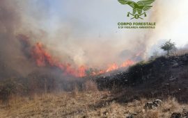 corpo-forestale.incendio