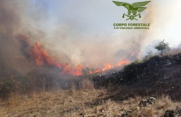 corpo-forestale.incendio.png