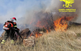 corpo-forestale.incendio.2