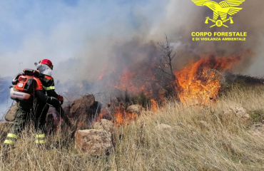 corpo-forestale.incendio.2