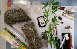 droga-marijuana