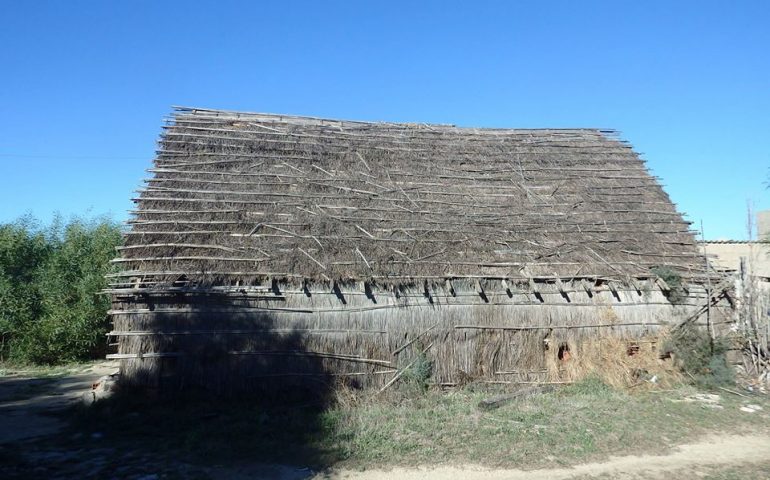 A fuoco uno degli ultimi falaschi del Sinis