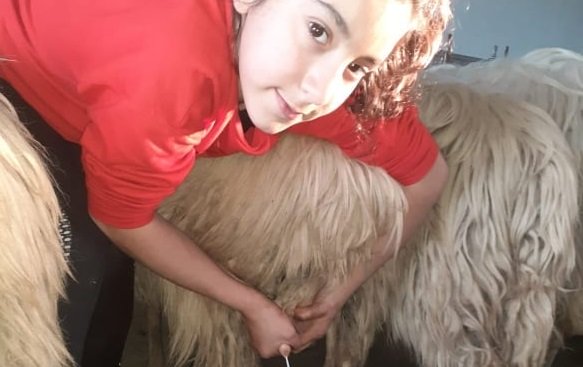 Marianna, la piccola pastora di Nuoro. Il suo sogno? «Diventare veterinaria, per aiutare gli animali»