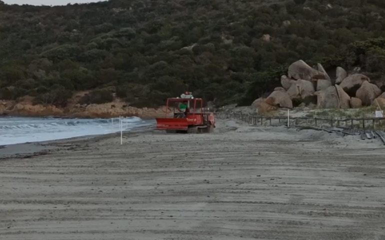 Villasimius: una ruspa cingolata sulla spiaggia protetta di Porto Giunco, la denuncia del GrIg