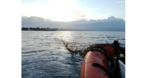 rete-pesca-illegale