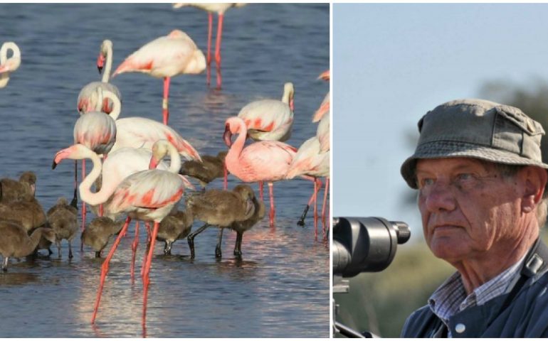 Molentargius ricorda Helmar Schenk, l’ornitologo che scoprì la prima nidificazione dei fenicotteri