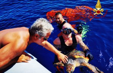 Durante un addestramento diurno nel Golfo dell'Asinara, il nucleo Sommozzatori dei Vigili del Fuoco di Sassari ha individuato un esemplare di tartaruga caretta caretta in apparente difficoltà. Sentito il Centro Recupero Animali Marini Asinara CRAMA), i sommozzatori hanno soccorso la tartaruga che é stata consegnata al responsabile del gruppo crama del parco naturale Marino dell'Asinara.