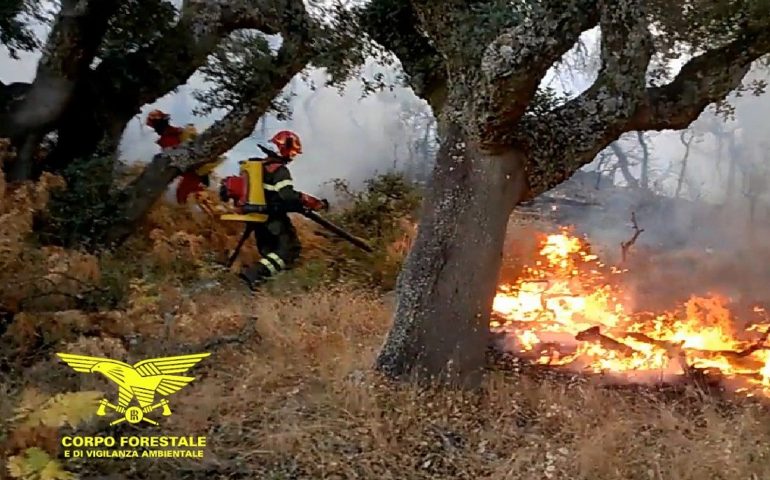 Divampa un incendio nelle campagne di Tempio: Corpo Forestale al lavoro